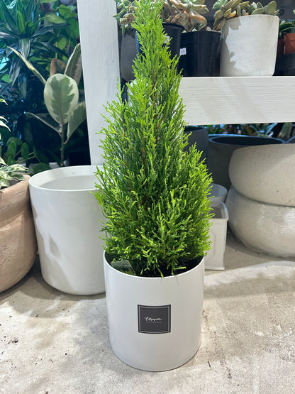 Modern Round White Pot 6&quot;