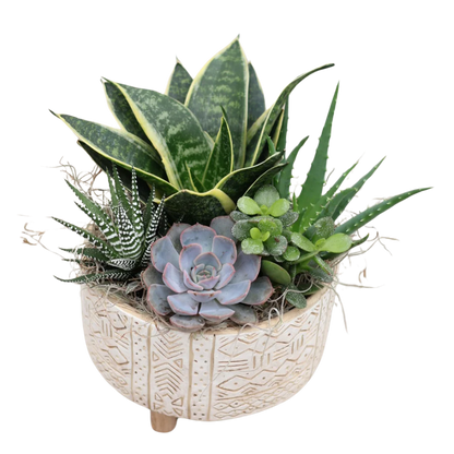 Succulent Design Ceramic Pedestal