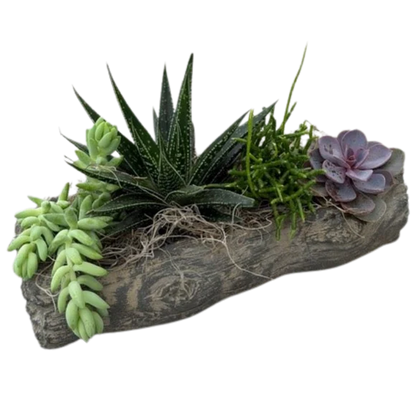 Concrete Succulent Large Log