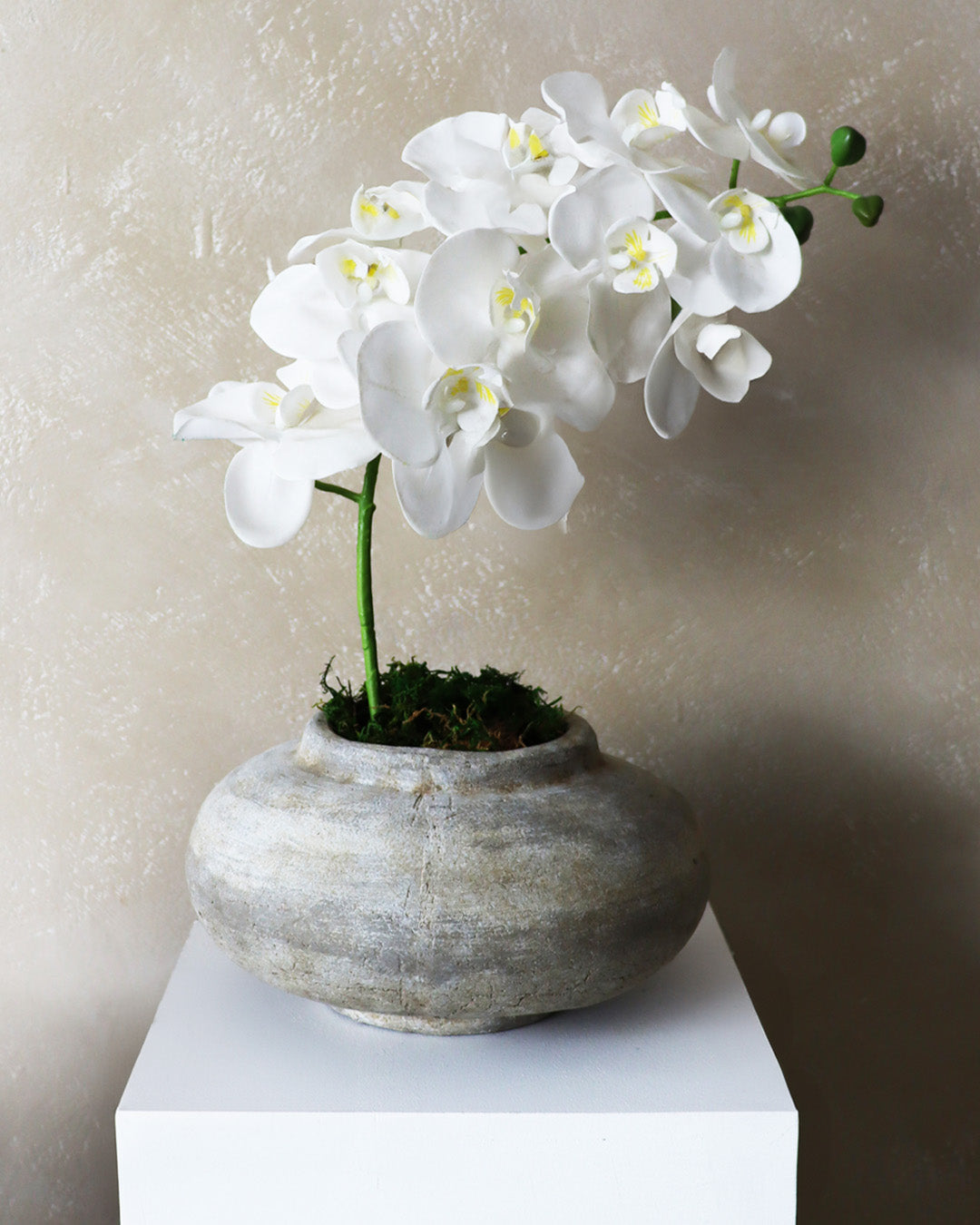TERRACOTTA ANTIQUE VASE