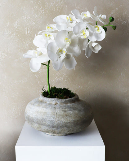 TERRACOTTA ANTIQUE VASE