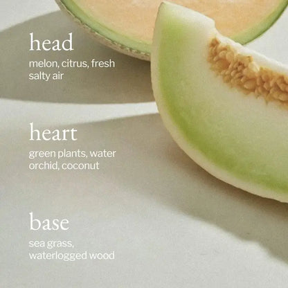 Liquid Hand Soap 238ml | Melon + Salty Air