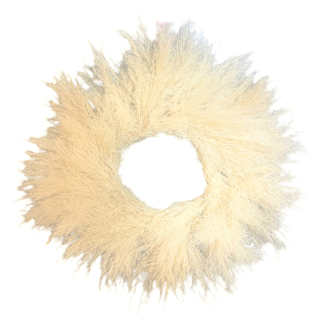 Pampas Wreath 18"
