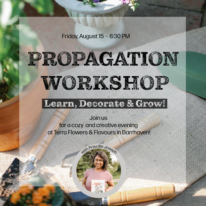 Workshop