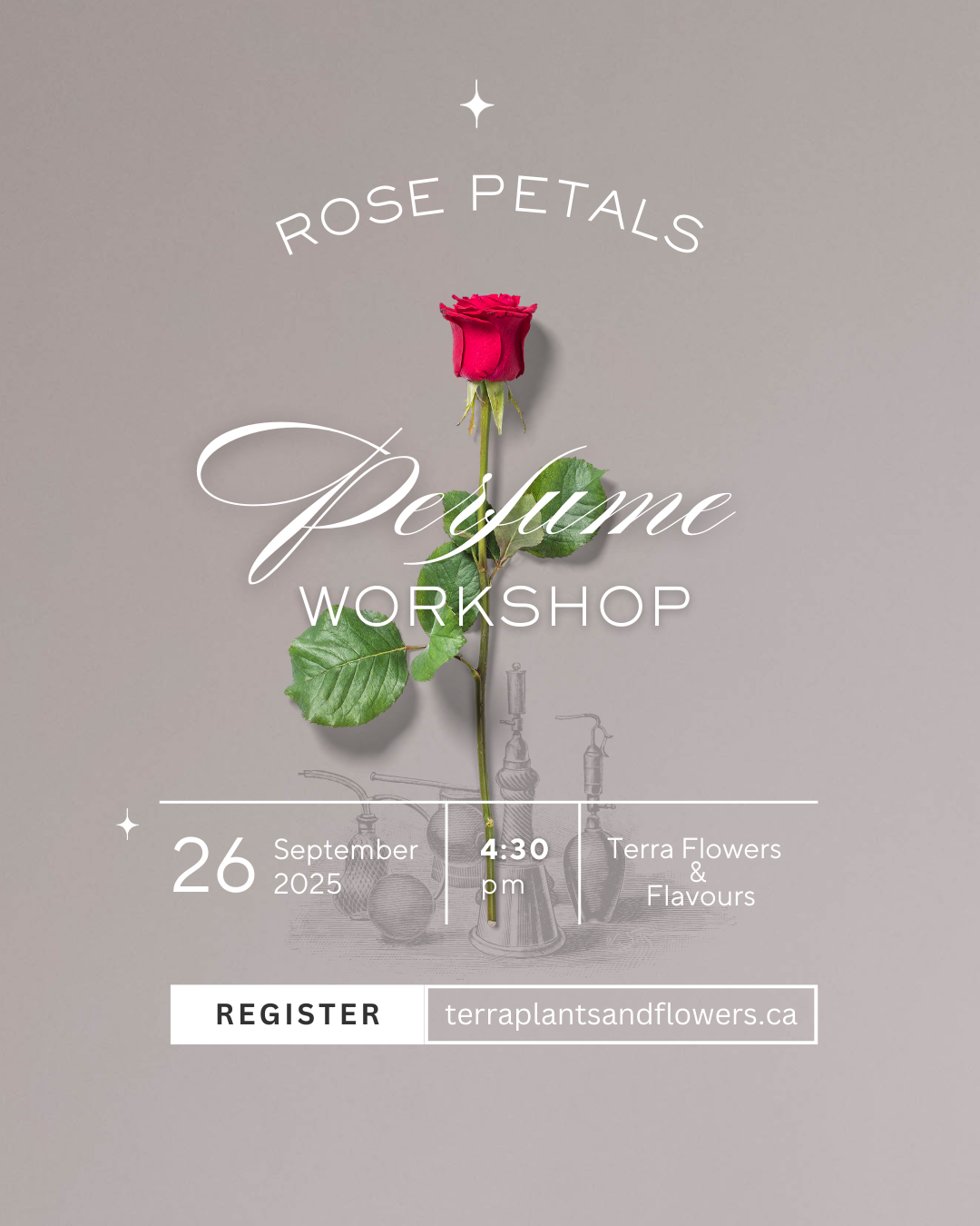 Rose Petals Perfume Workshop