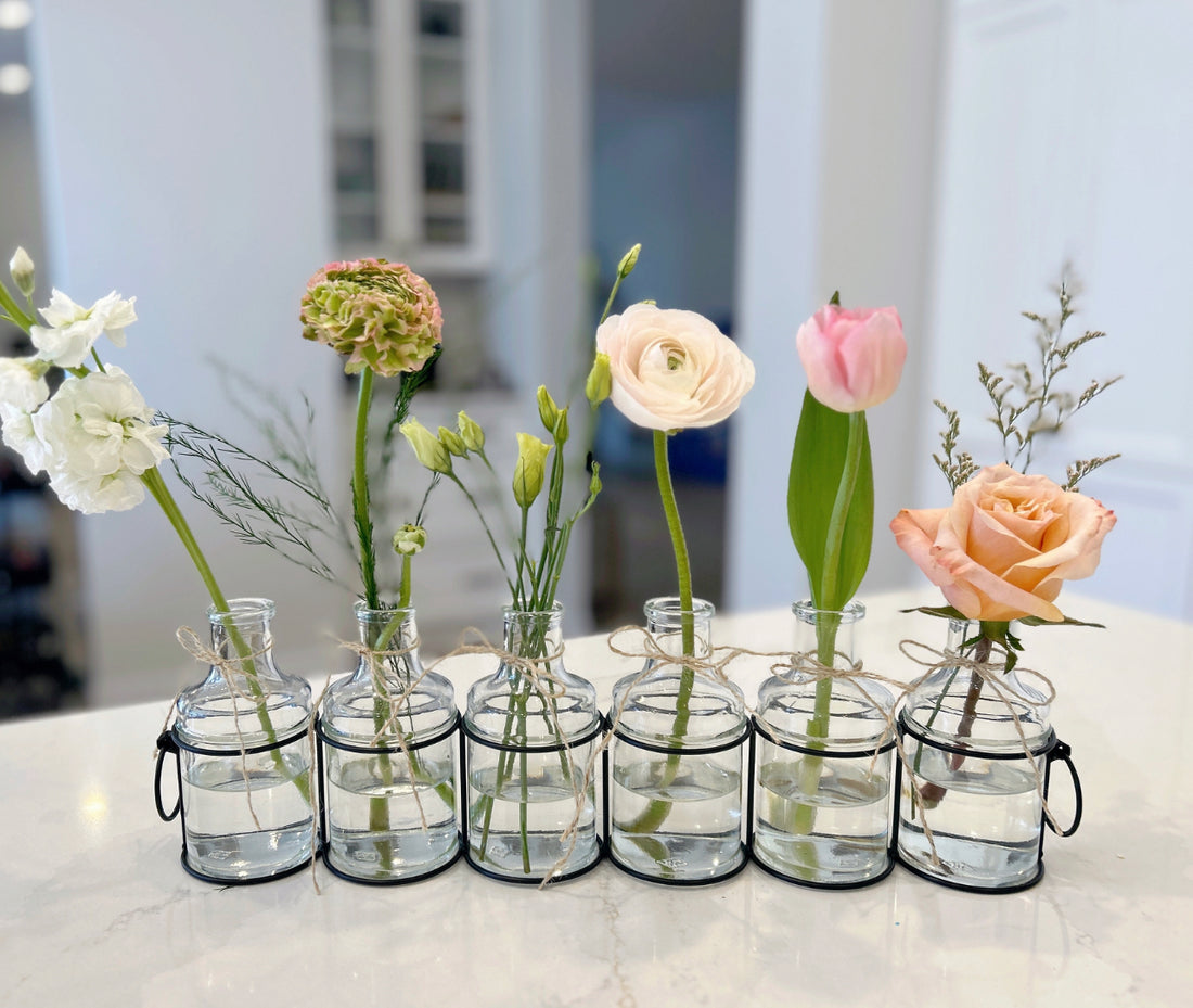 BLACK WIRE WITH 6 GLASS JARS