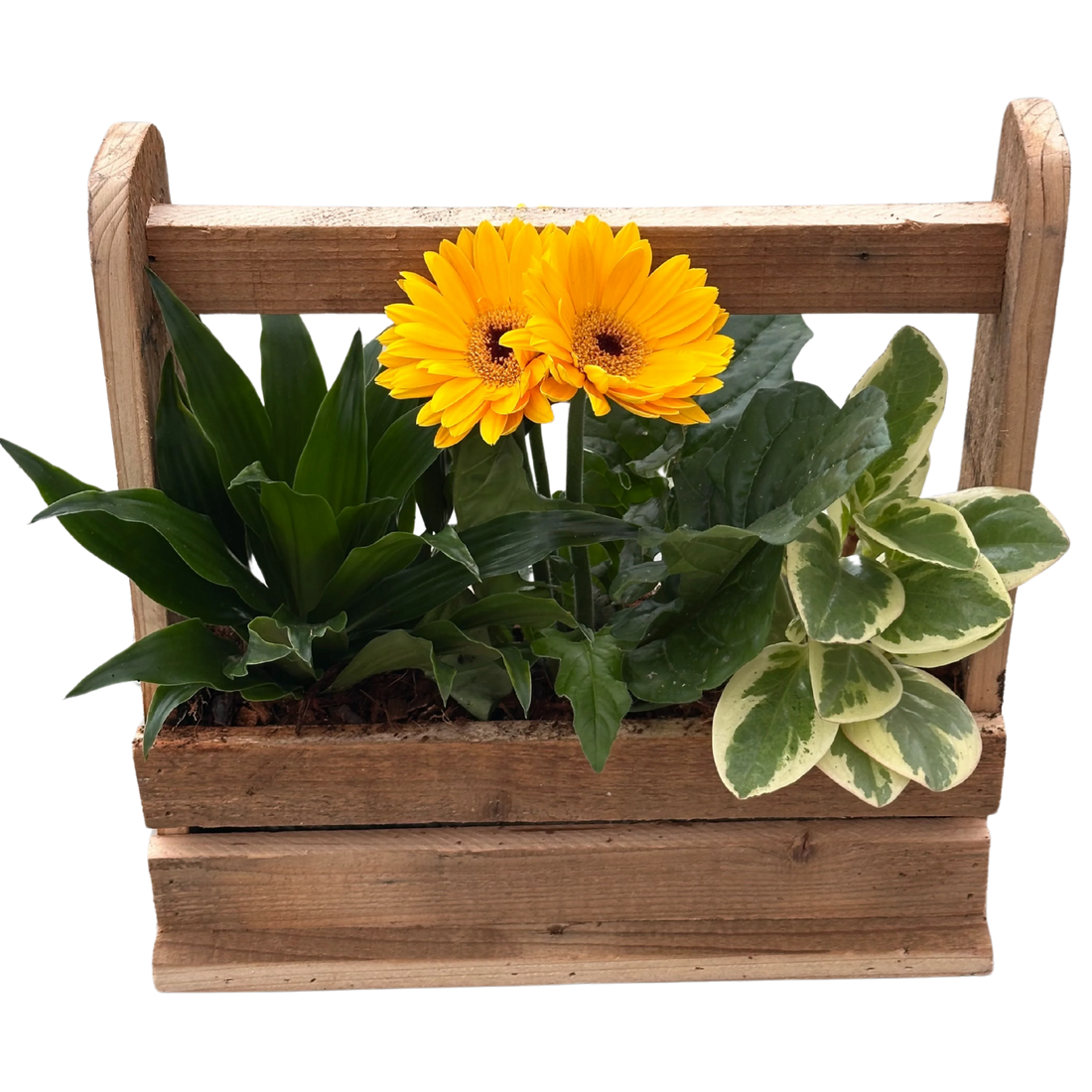 Daisy Mixed Wooden Crate With Handle