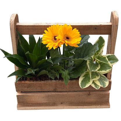 Daisy Mixed Wooden Crate With Handle