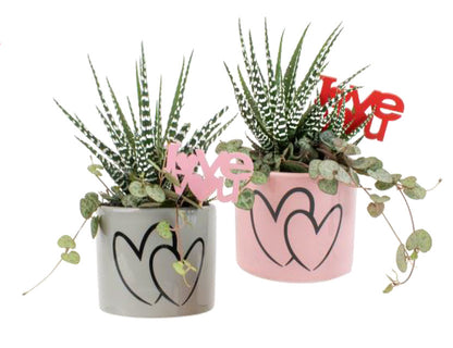 Mini Succulent Garden in a Double Hearts Pot
