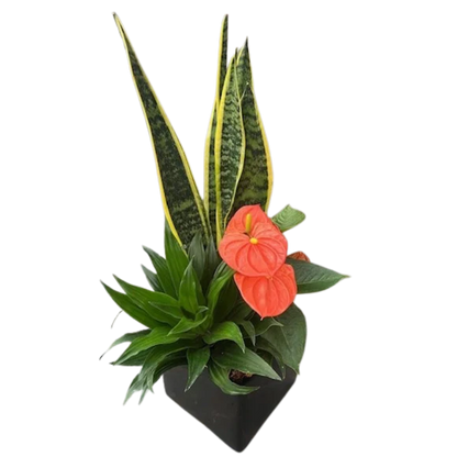 Fall Large Black Square Planter