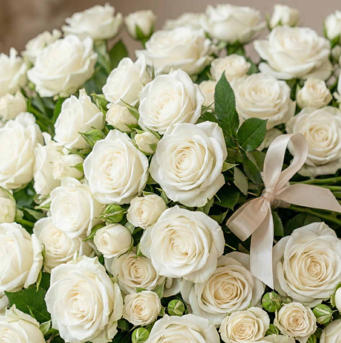 White Roses (Innocence white Rose) - Unwrapping and Untrimming