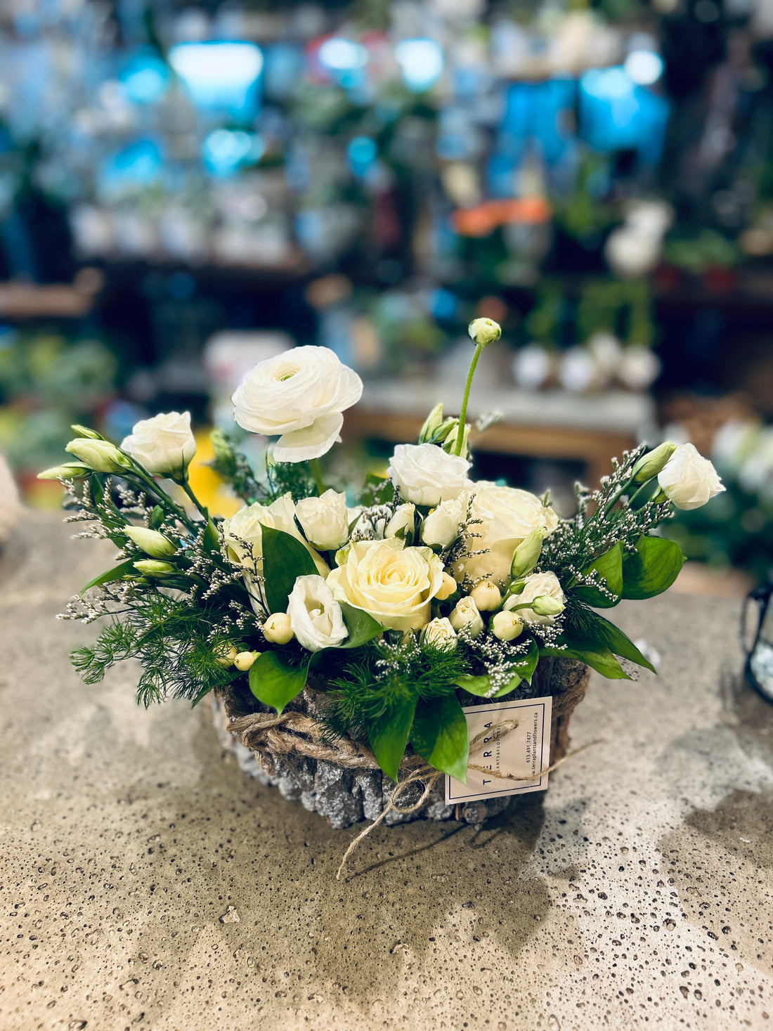 Flower Garden in birch pot