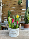 Spring Blooming pot