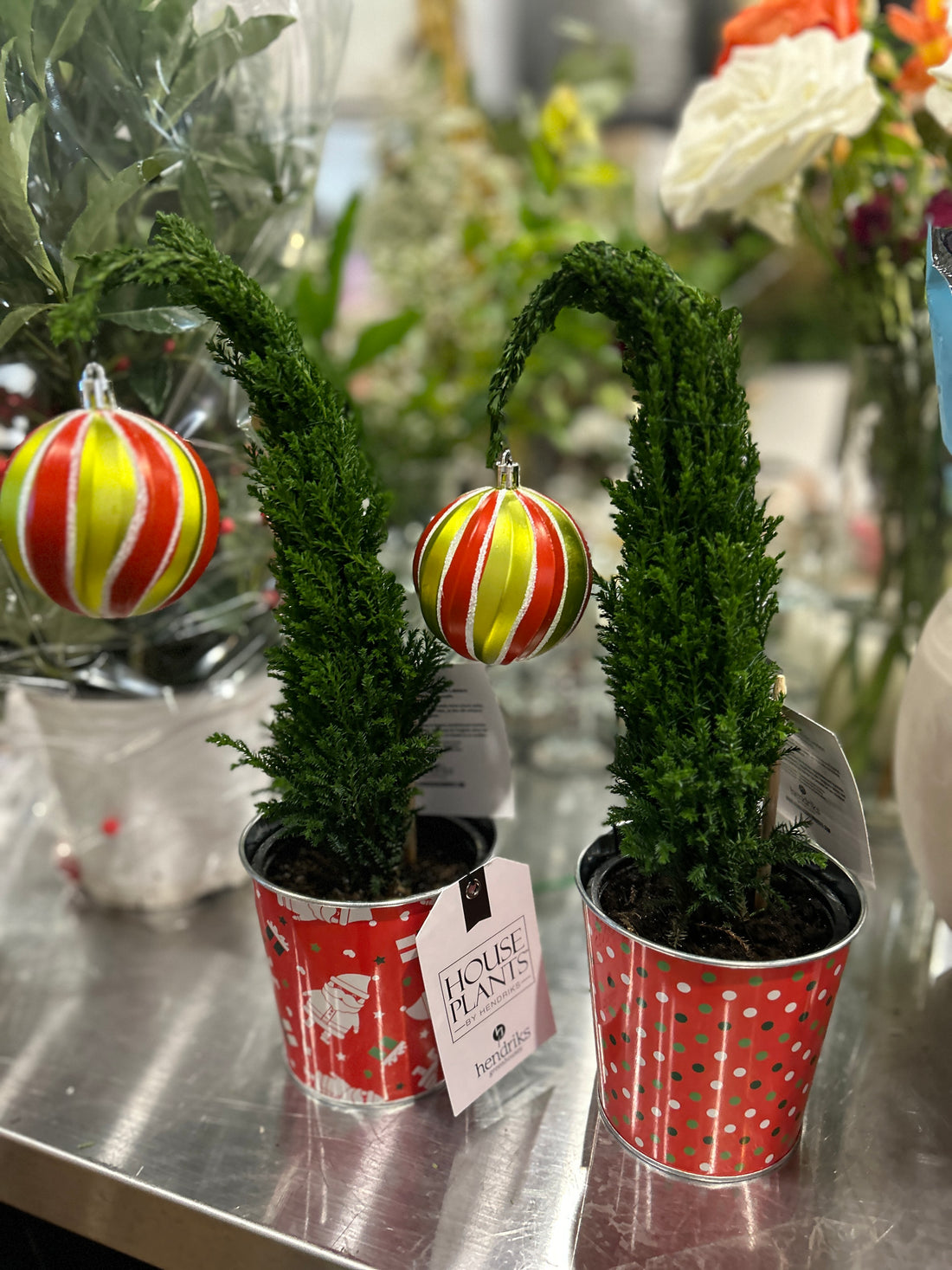 Scrooge Grinch tree in Tin pot