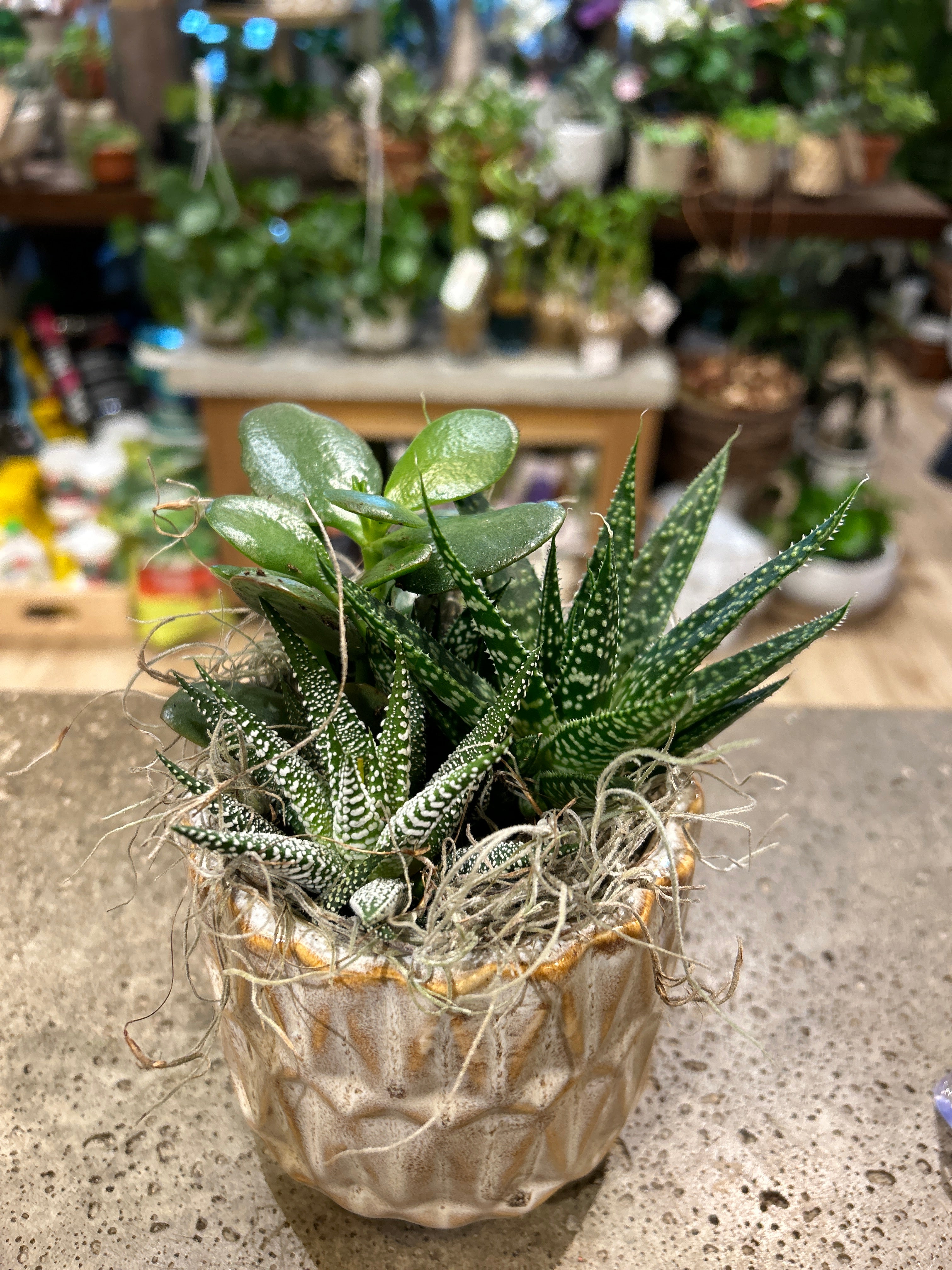 Small White Pedestal Succulent Planter