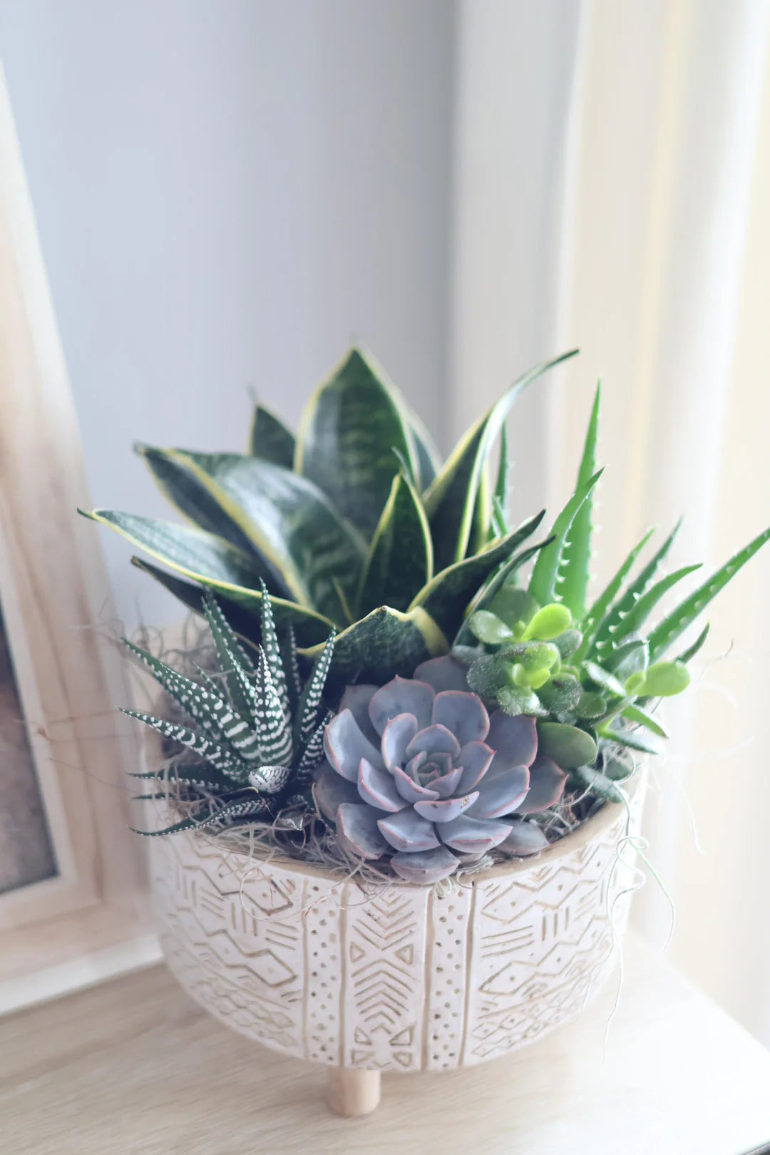 Succulent Design Ceramic Pedestal
