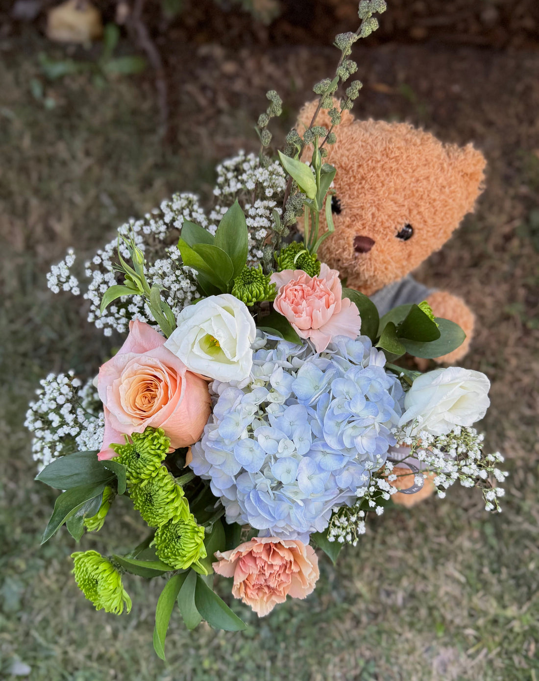 Teddy Secret Garden