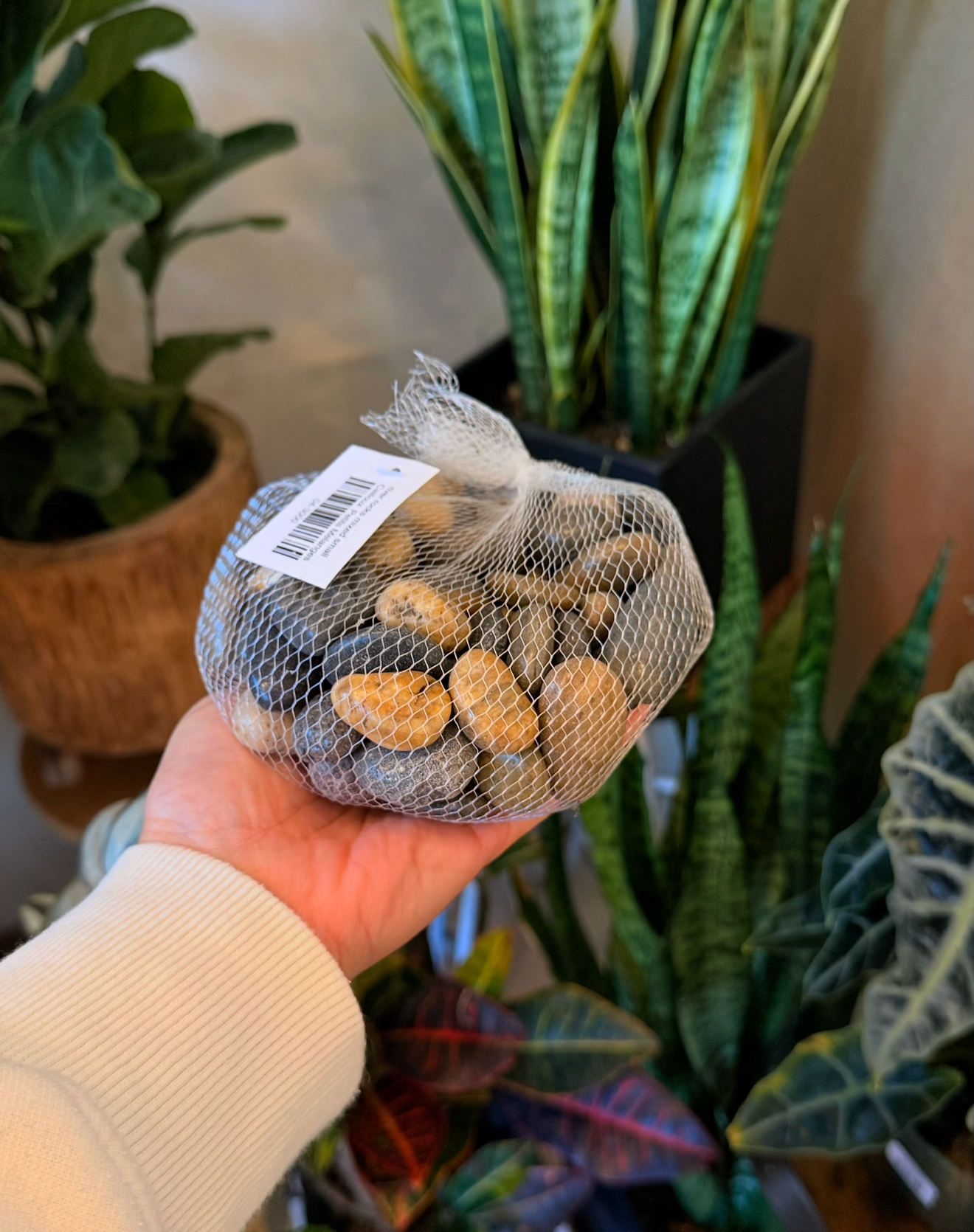 house plant pebbles Decorative Pebbles