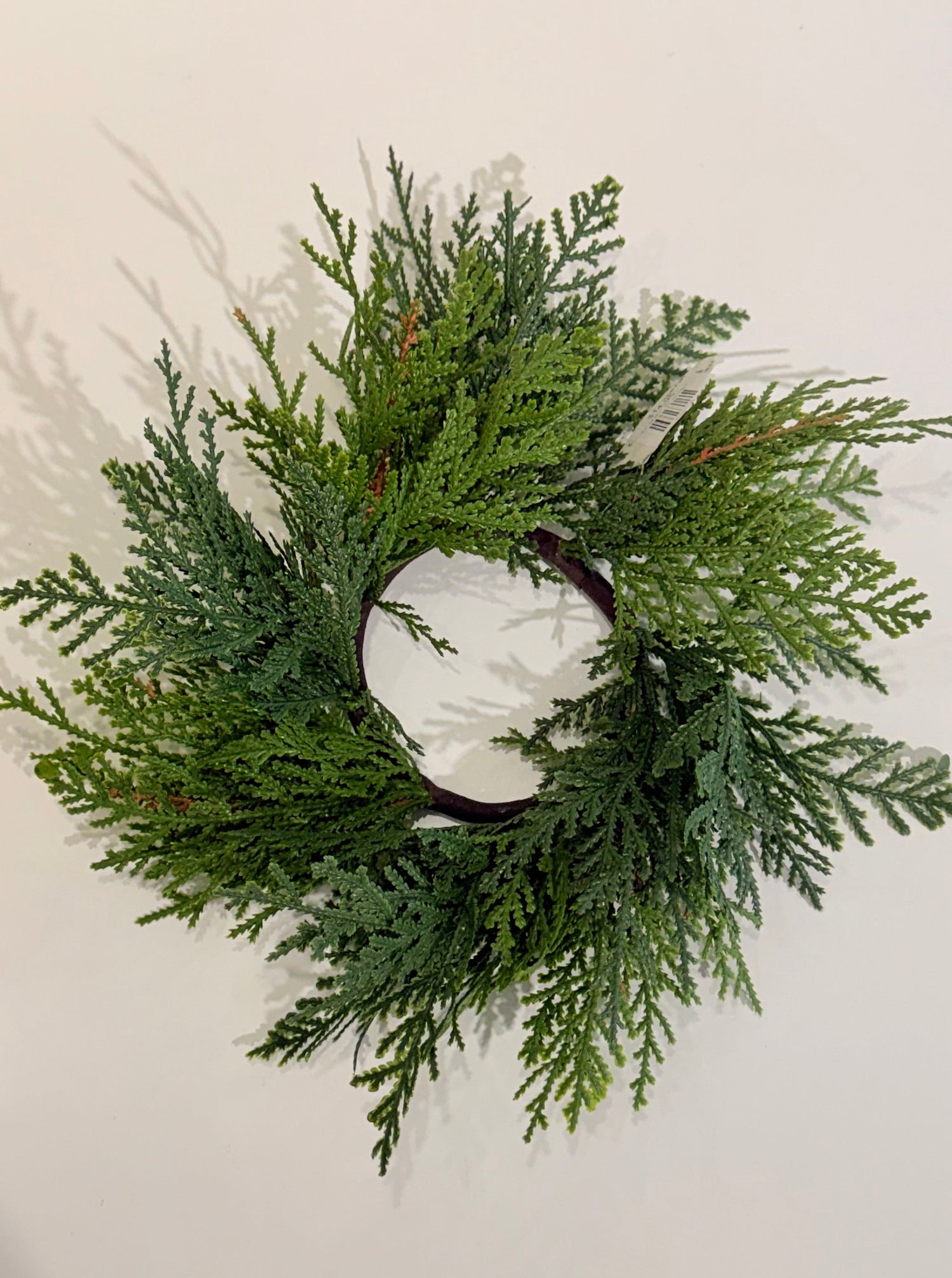 10&quot; FRESH TOUCH NORTHERN WHITE CEDAR