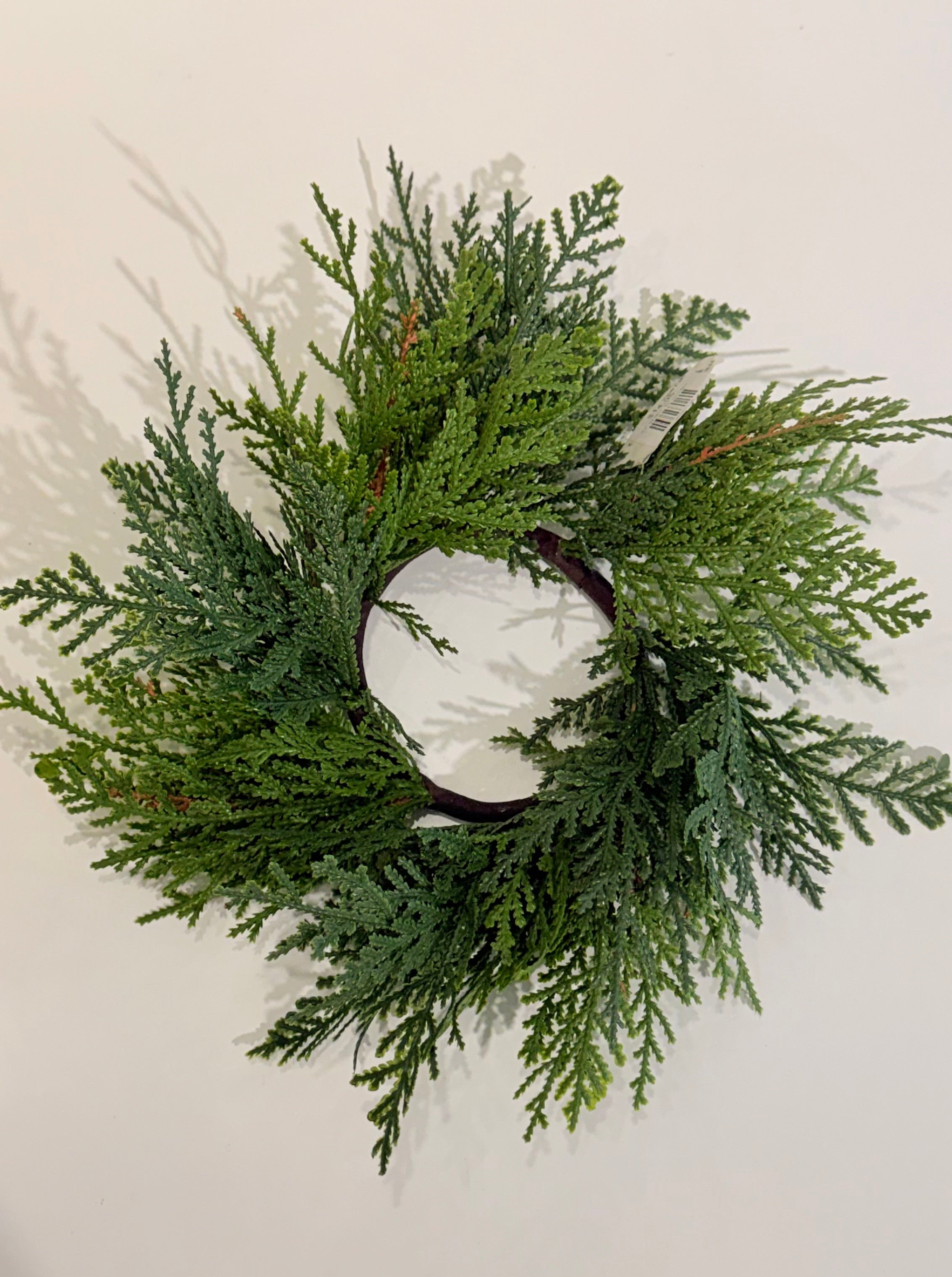 10&quot; FRESH TOUCH NORTHERN WHITE CEDAR