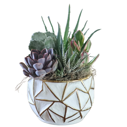 Large Gold Geo Succulent