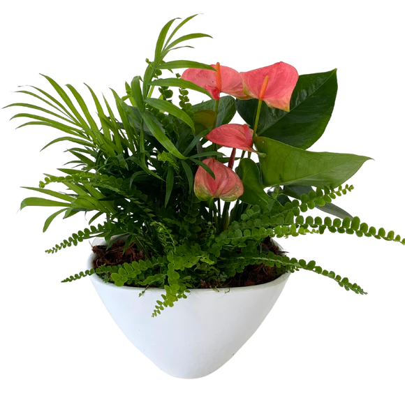 Eillen Planter (Medium/Large)
