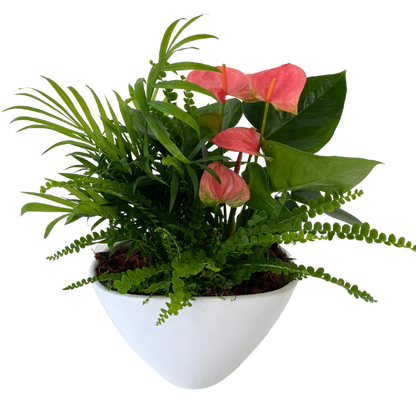 Eillen Planter (Medium/Large)