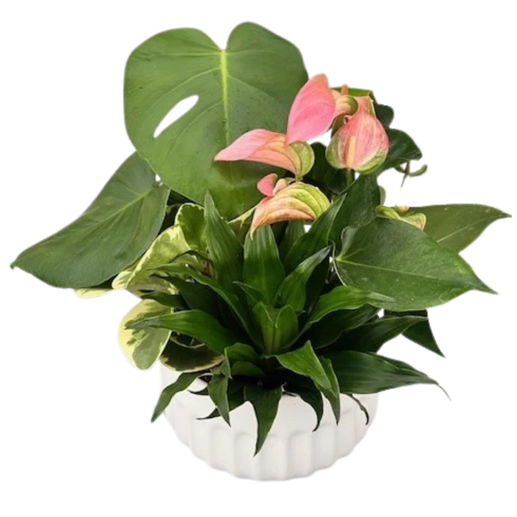 White Tropical Indented Planter