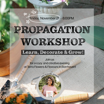 Propagation Workshop
