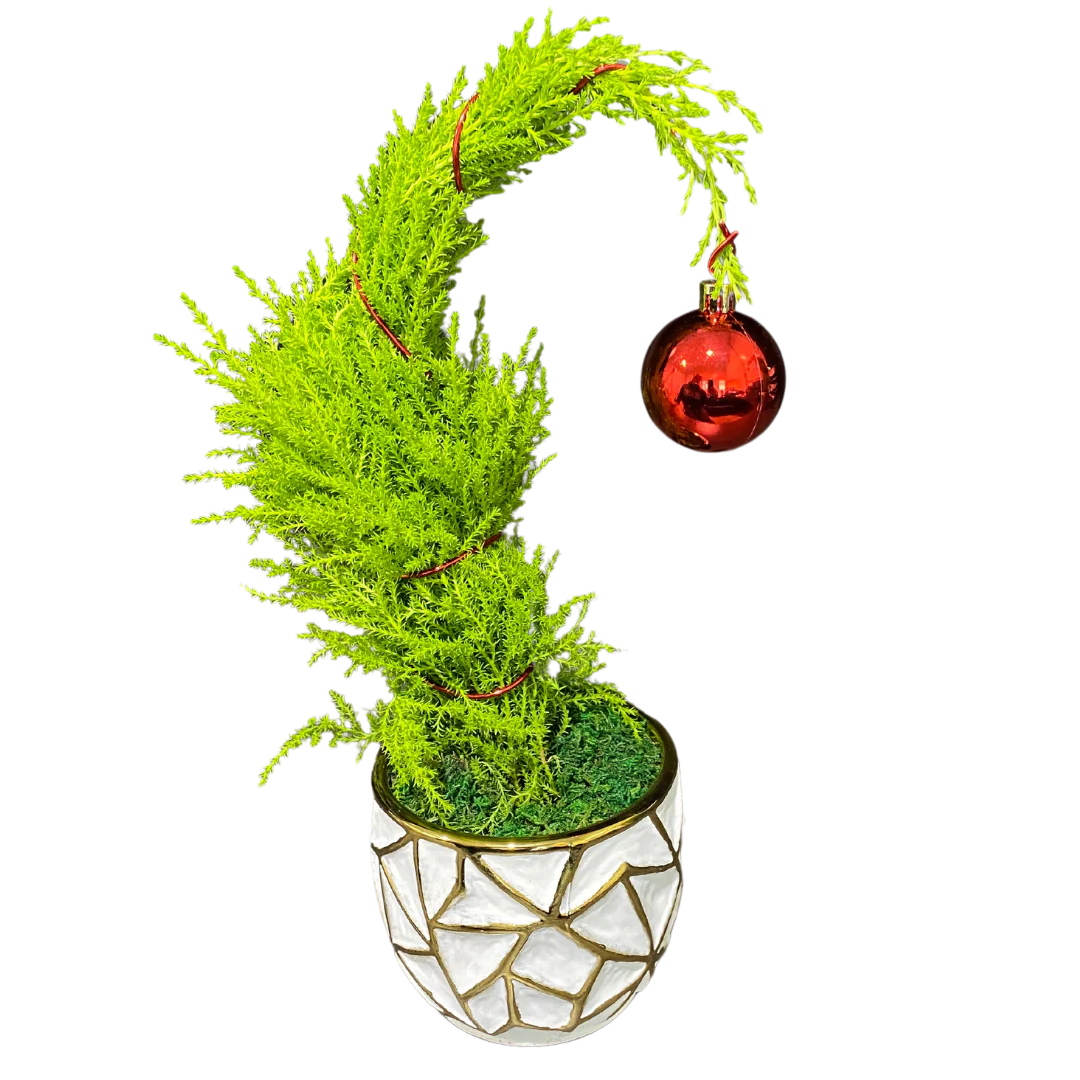 Christmas Grinch Tree in Gold Leaf Pot