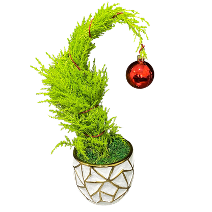 Christmas Grinch Tree in Gold Leaf Pot