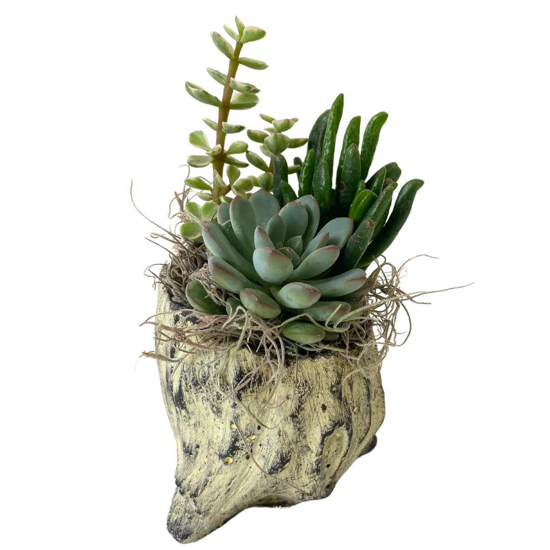 Tall Tree Stump Succulent Planter