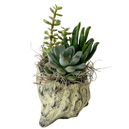 Tall Tree Stump Succulent Planter