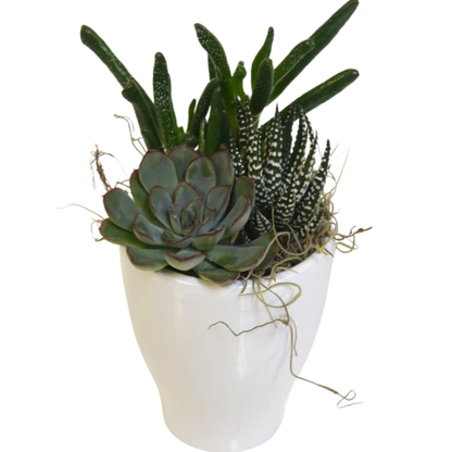 Small Succulent Planter
