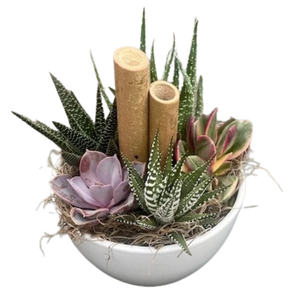 White Succulent Kitty Bowl