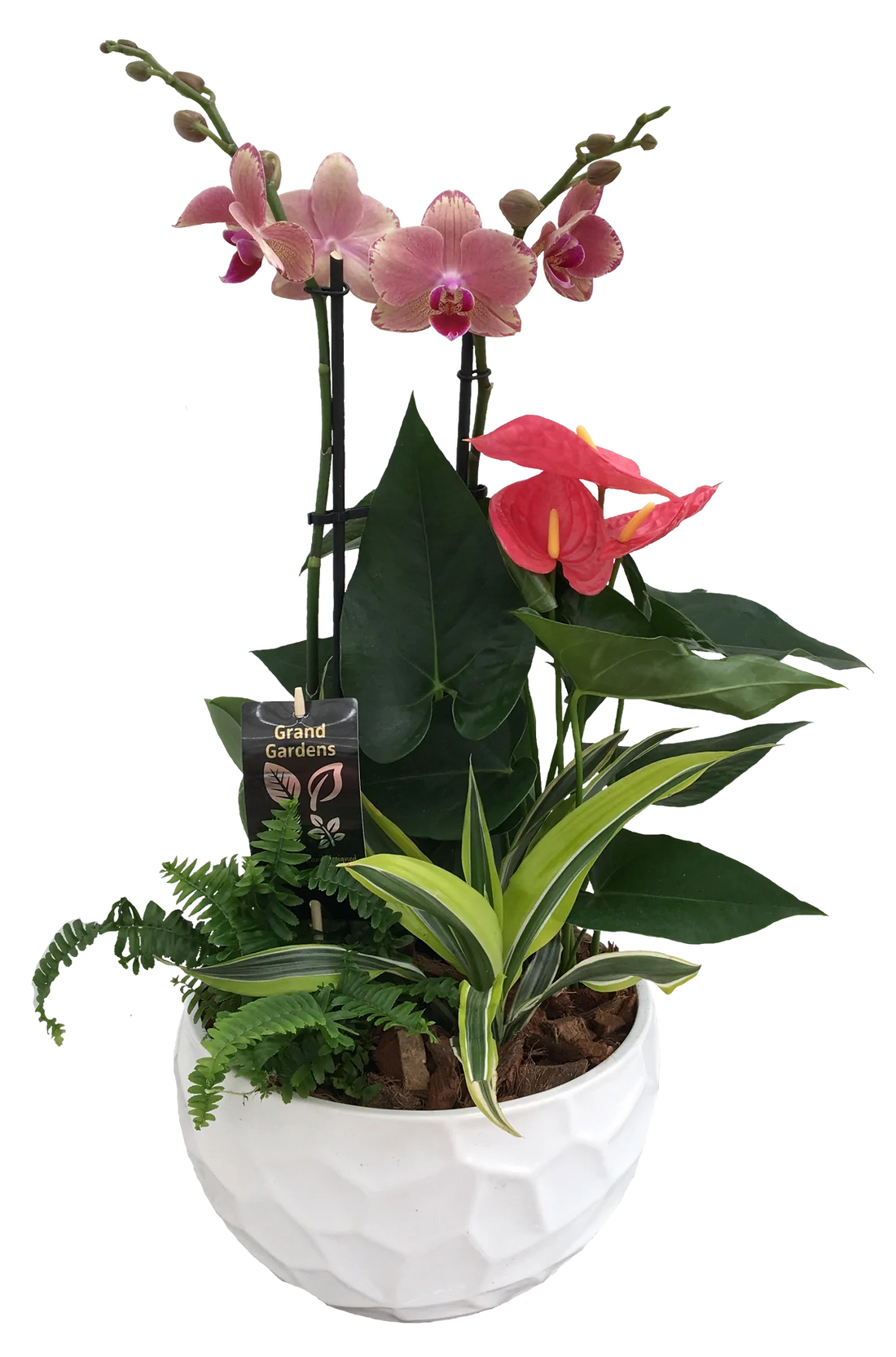 Xl Round Orchid Planter - White