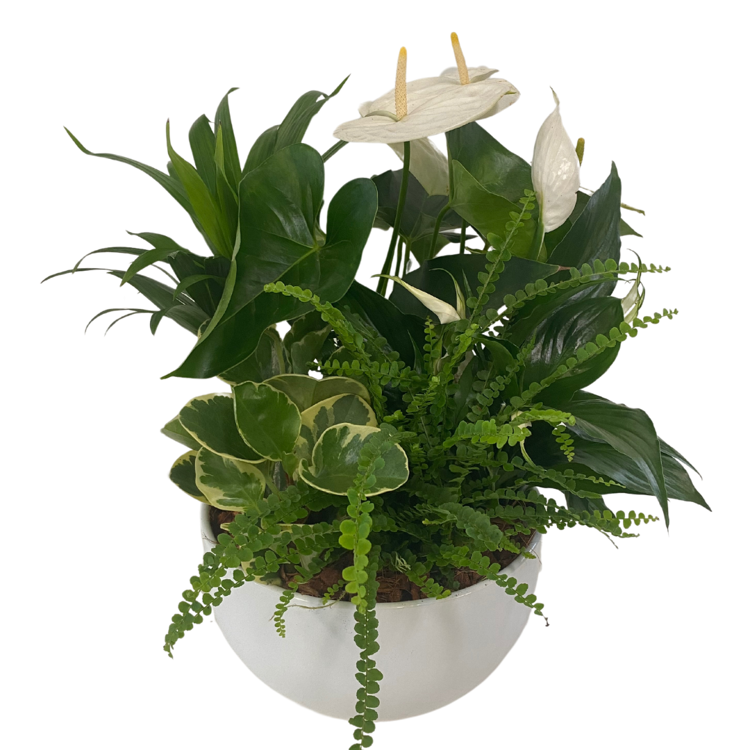 XL Anthurium and Peace Lily Round Bowl