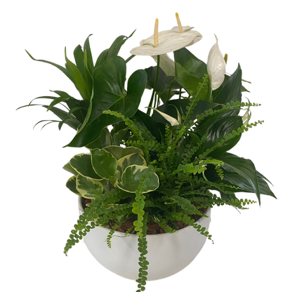 XL Anthurium and Peace Lily Round Bowl