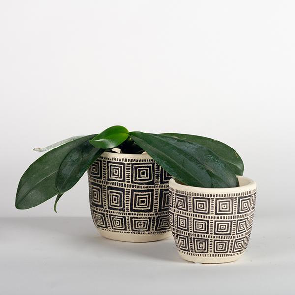 Cement Pot - black and cream