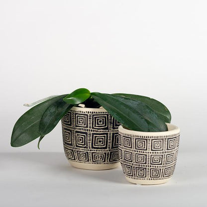 Cement Pot - black and cream