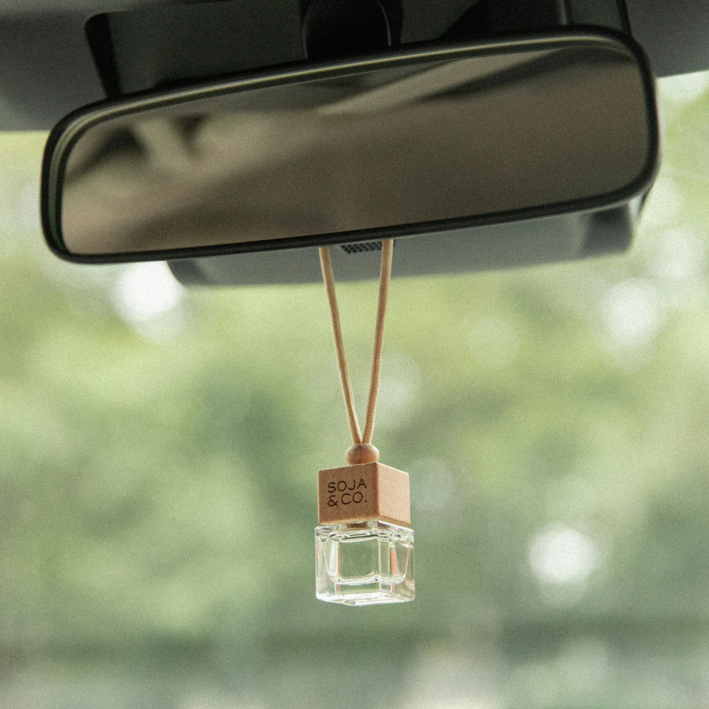 Car Diffuser | Melon + Salty Air