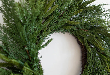 24&quot; Norfolk Cypress Wreath