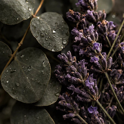 Eau Nocturne NORDIQUE - Pillow Mist