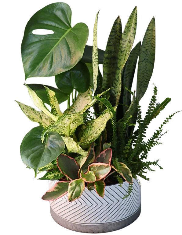 XL Herringbone Tin Mix Foliage