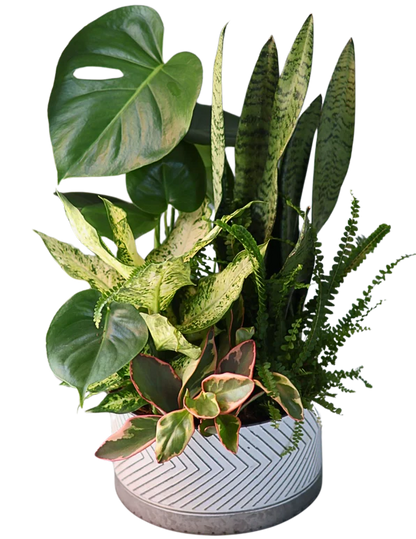 XL Herringbone Tin Mix Foliage