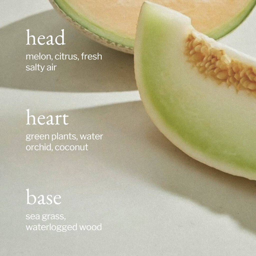 Car Diffuser | Melon + Salty Air