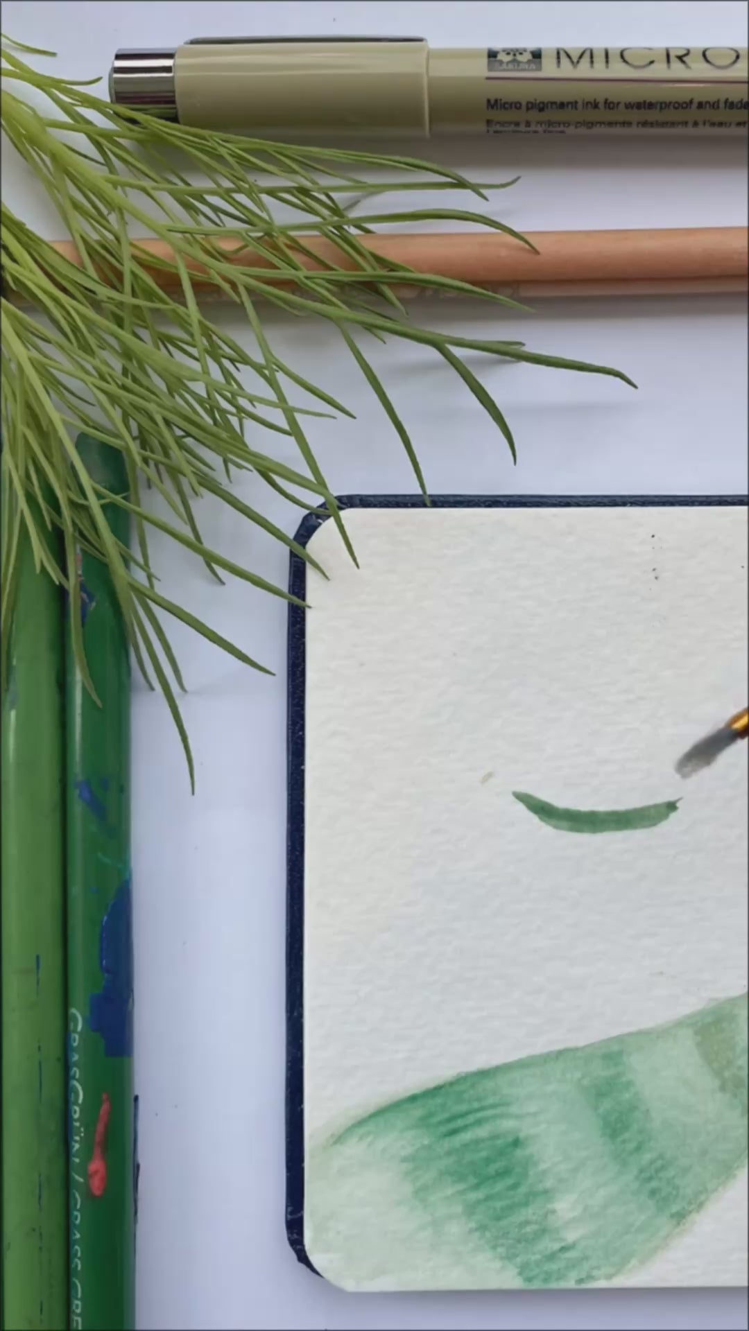 Botanical Illustration &amp;amp; Watercolour Basics Workshop