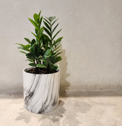 Marble Look Cylindrical Pots