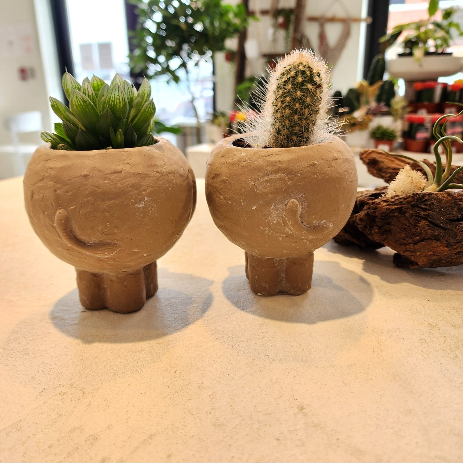 Lion Cement Animal Planters