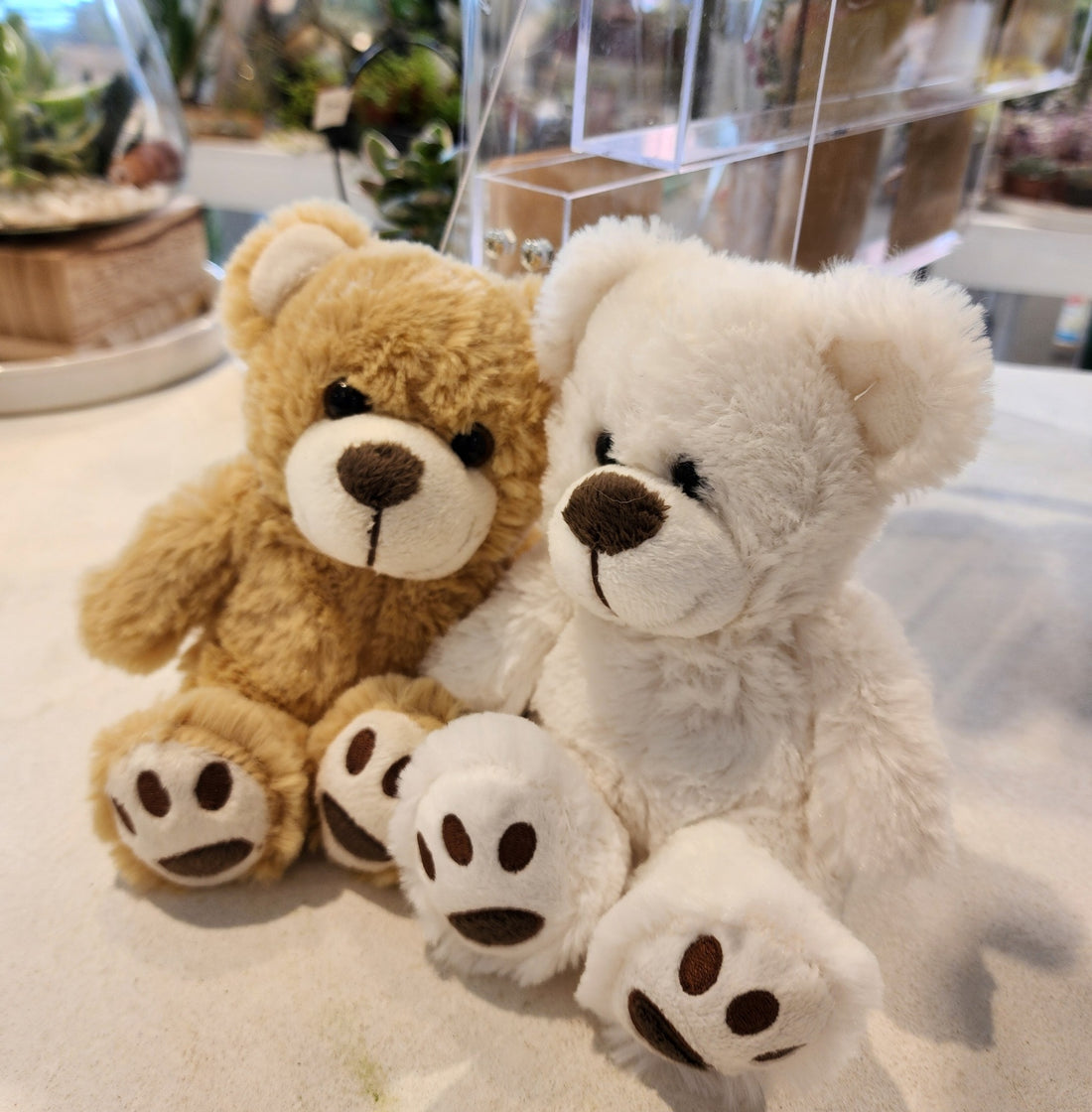 Mini Teddy Bear